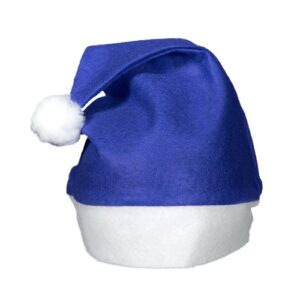 Christmas Hat Blue