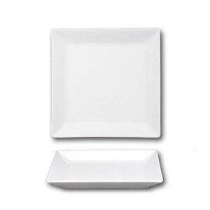 Square Flat Plate 30 cm