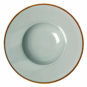9.5 Soup Plate HD111074
