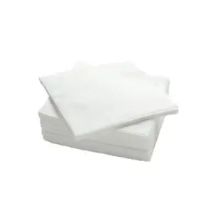 Tissue For the Holder (10 Packet)