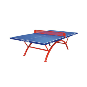 Outdoor Table Tennis