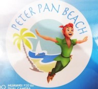 Logo 31
